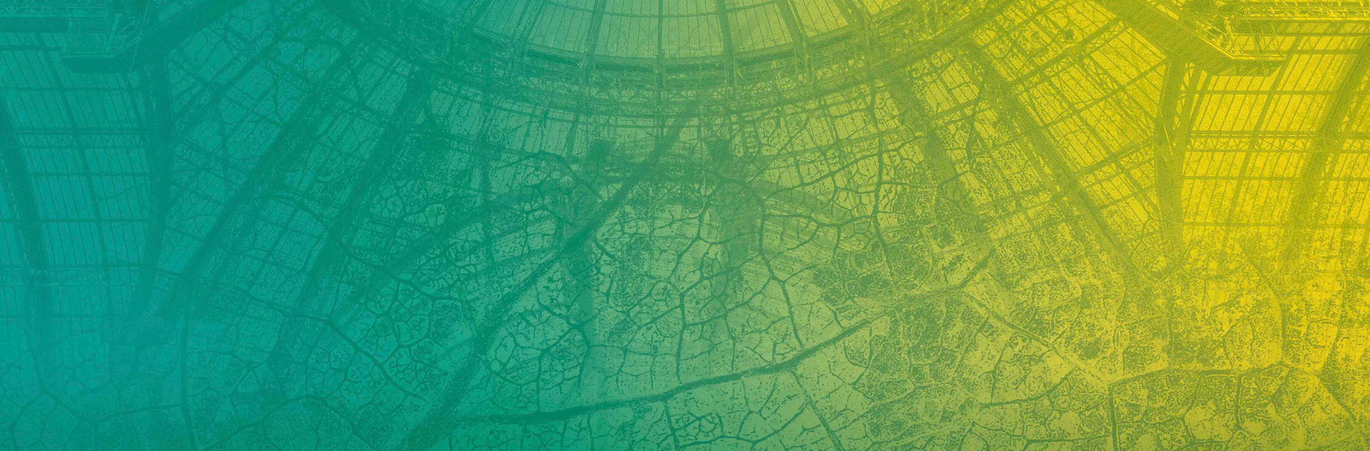 Image de la verrière du Grand Palais