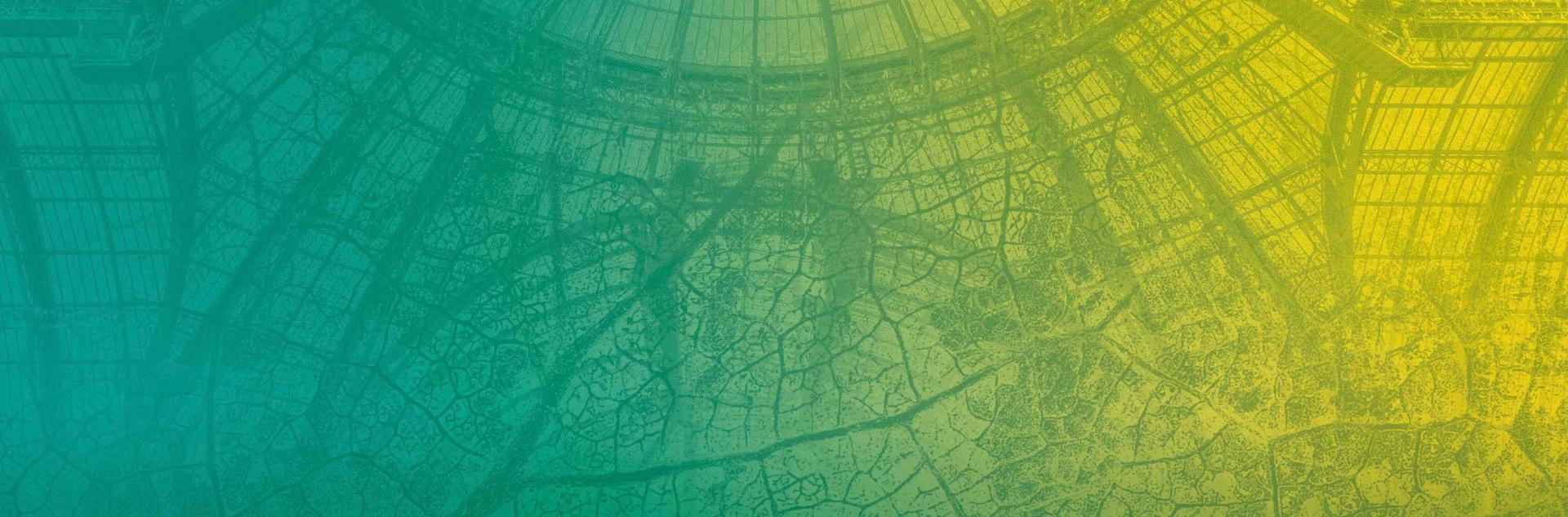 Image de la verrière du Grand Palais